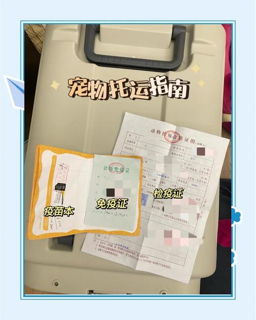 狗狗坐飞机托运有危险吗