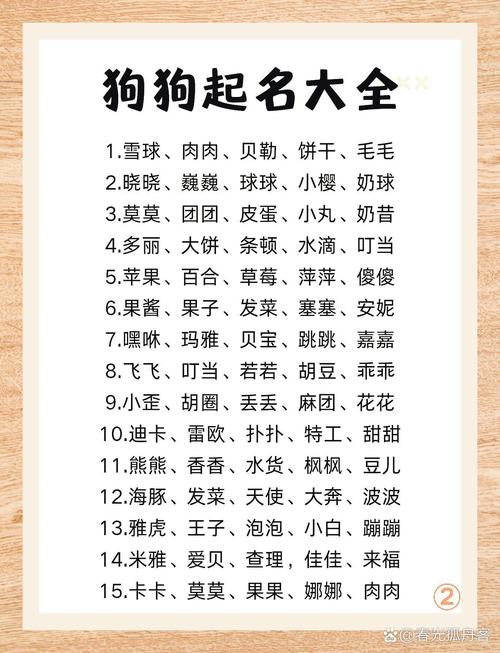 小狗的名字大全