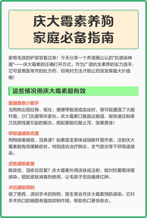 犬瘟能喝庆大霉素吗?我家的狗狗查出犬瘟,到宠物医院打了三天血清和消炎...