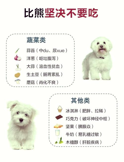 狗狗不能吃什么东西清单