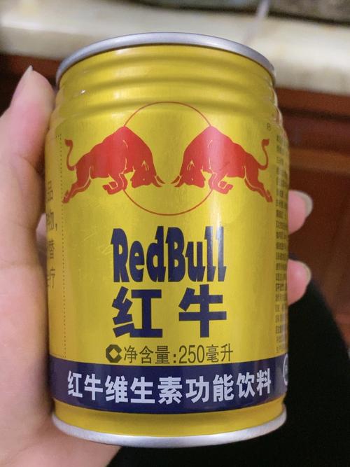 狗不吃什么东西?