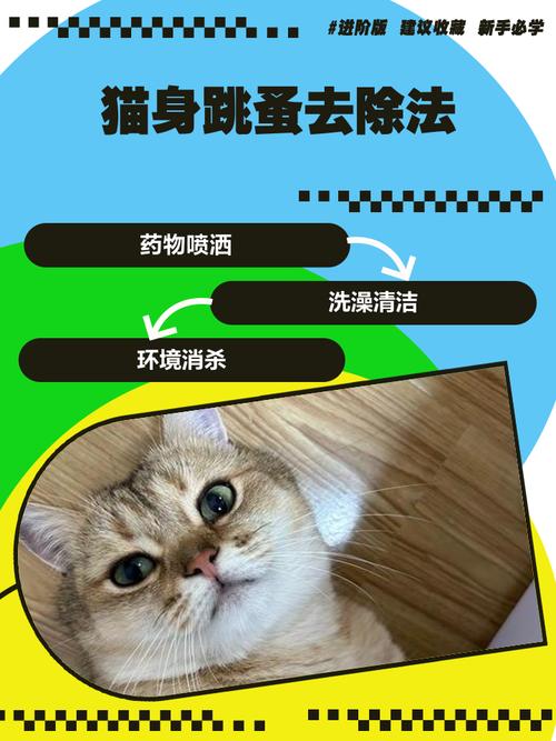 猫咪长跳蚤了,能剃毛吗?