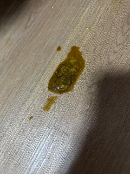 狗感冒吃完药拉稀怎么回事