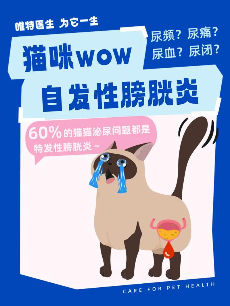 猫膀胱炎能自愈吗