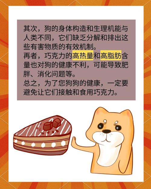 狗狗不能吃巧克力吗