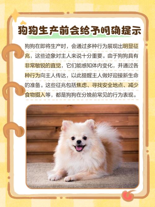 狗狗难产前最明显的征兆