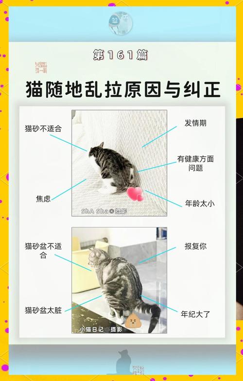 猫会乱拉屎吗