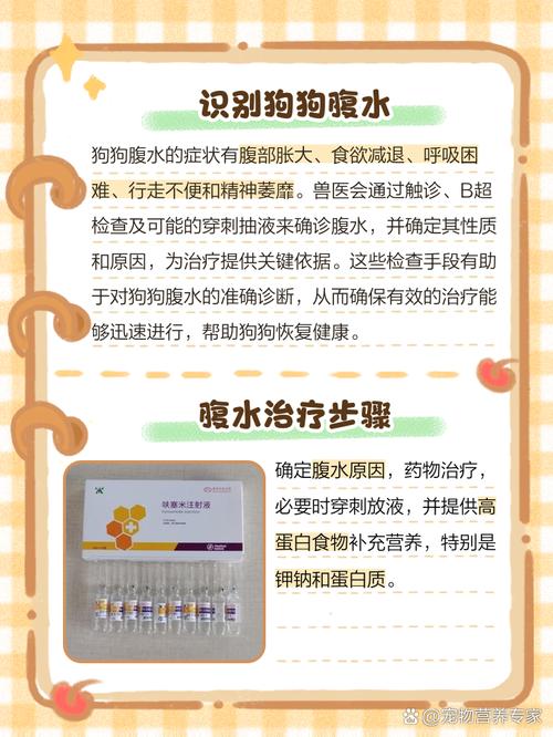 狗狗为什么会腹水呢