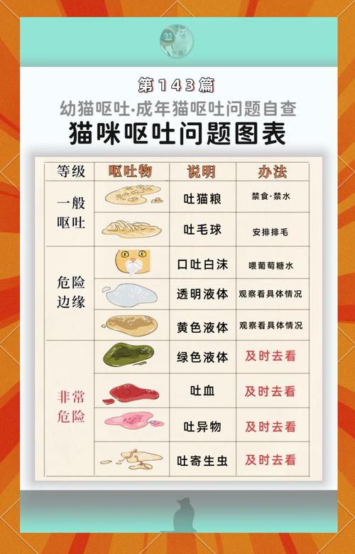 猫咪吐食物是什么原因造成的