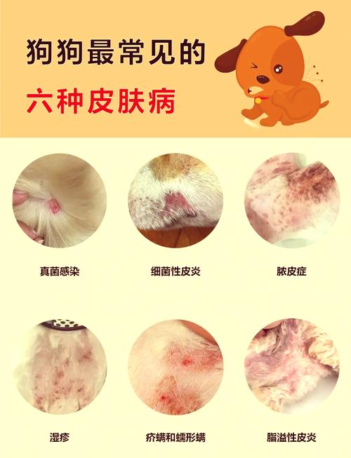 狗狗得了真菌性皮肤病不能吃什么东东啊