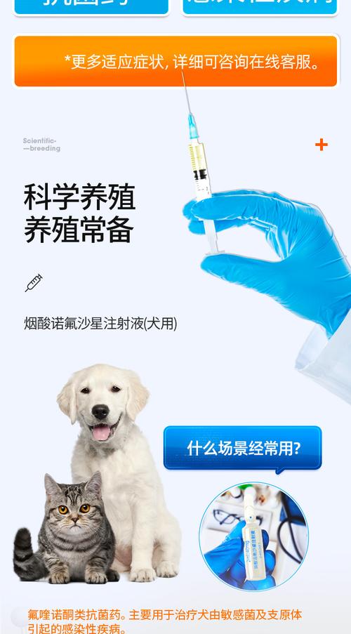 狗狗急性肠炎怎么治疗