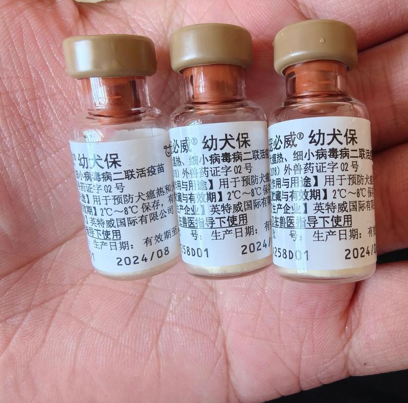 狗狗每年都需要打什么针