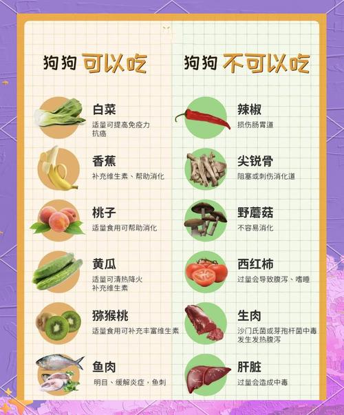 40天的小狗吃什么?新手铲屎官一定要看