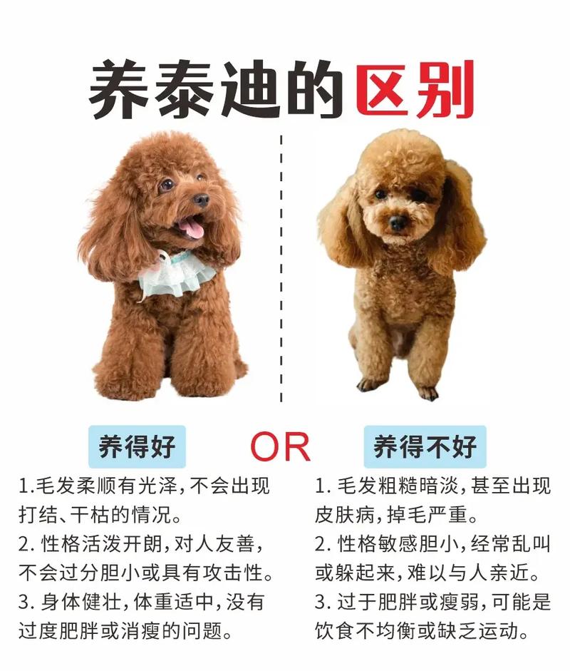 狗狗是圈养好还是放养好