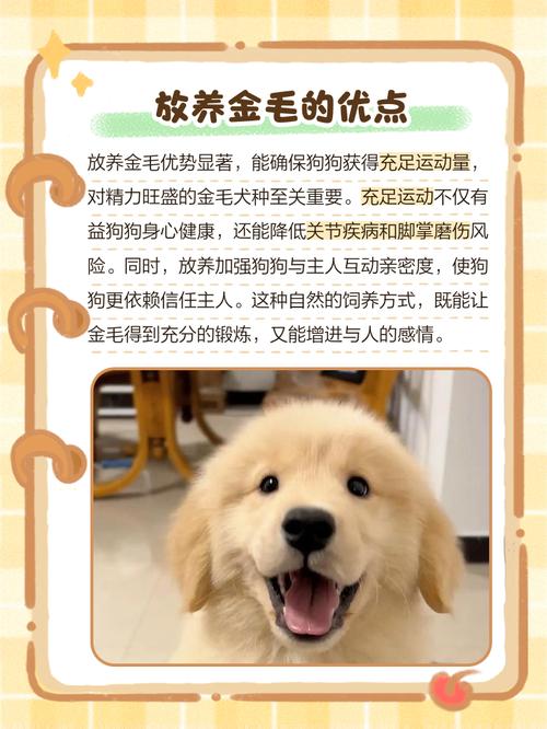 博美适合圈养还是散养?