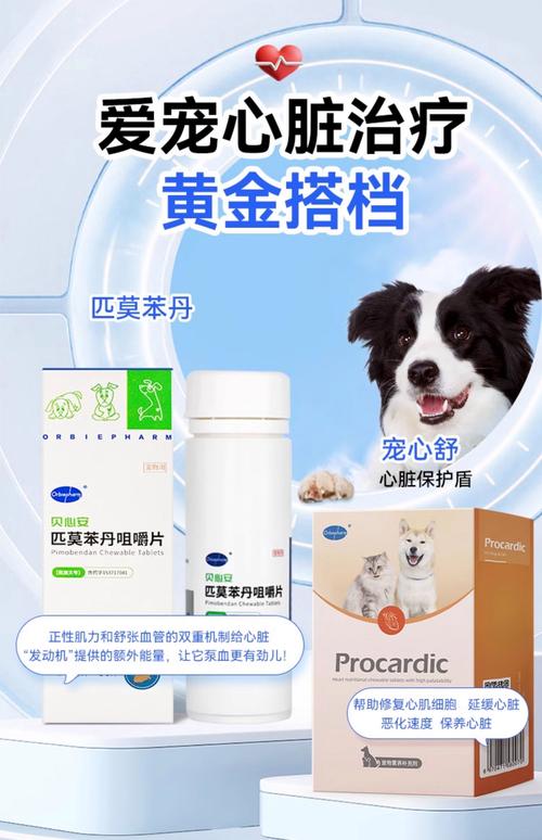 狗狗老了咳嗽怎么办吃什么药