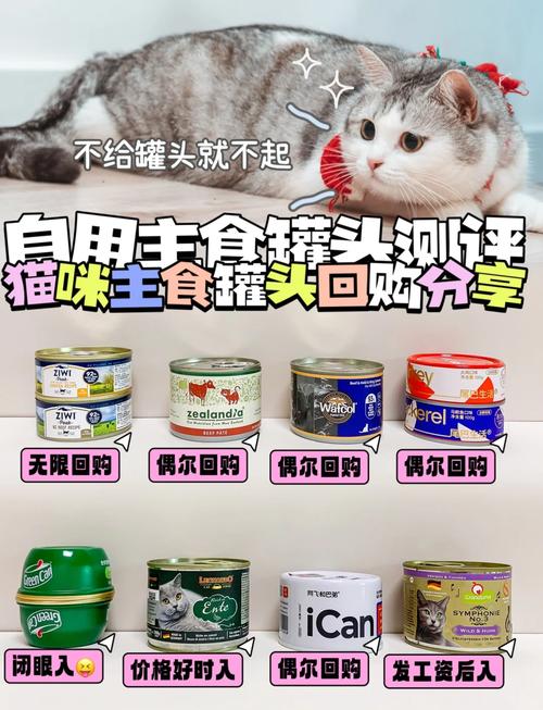 猫一定要吃罐头吗