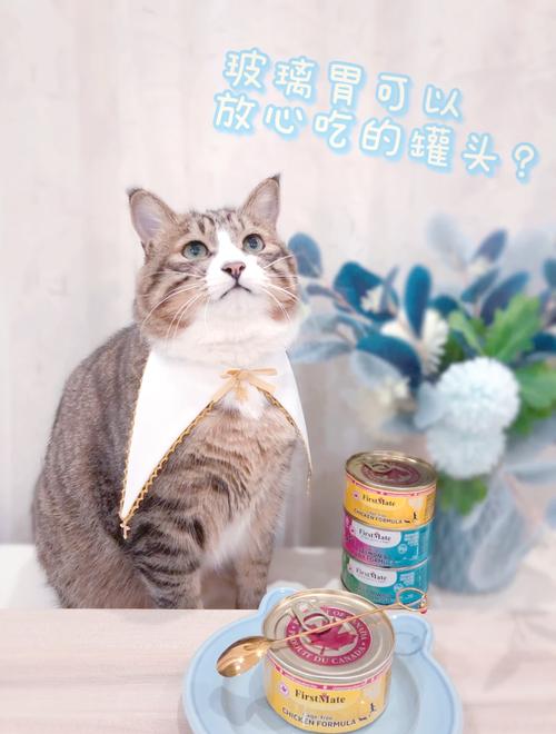 猫必须吃罐头吗