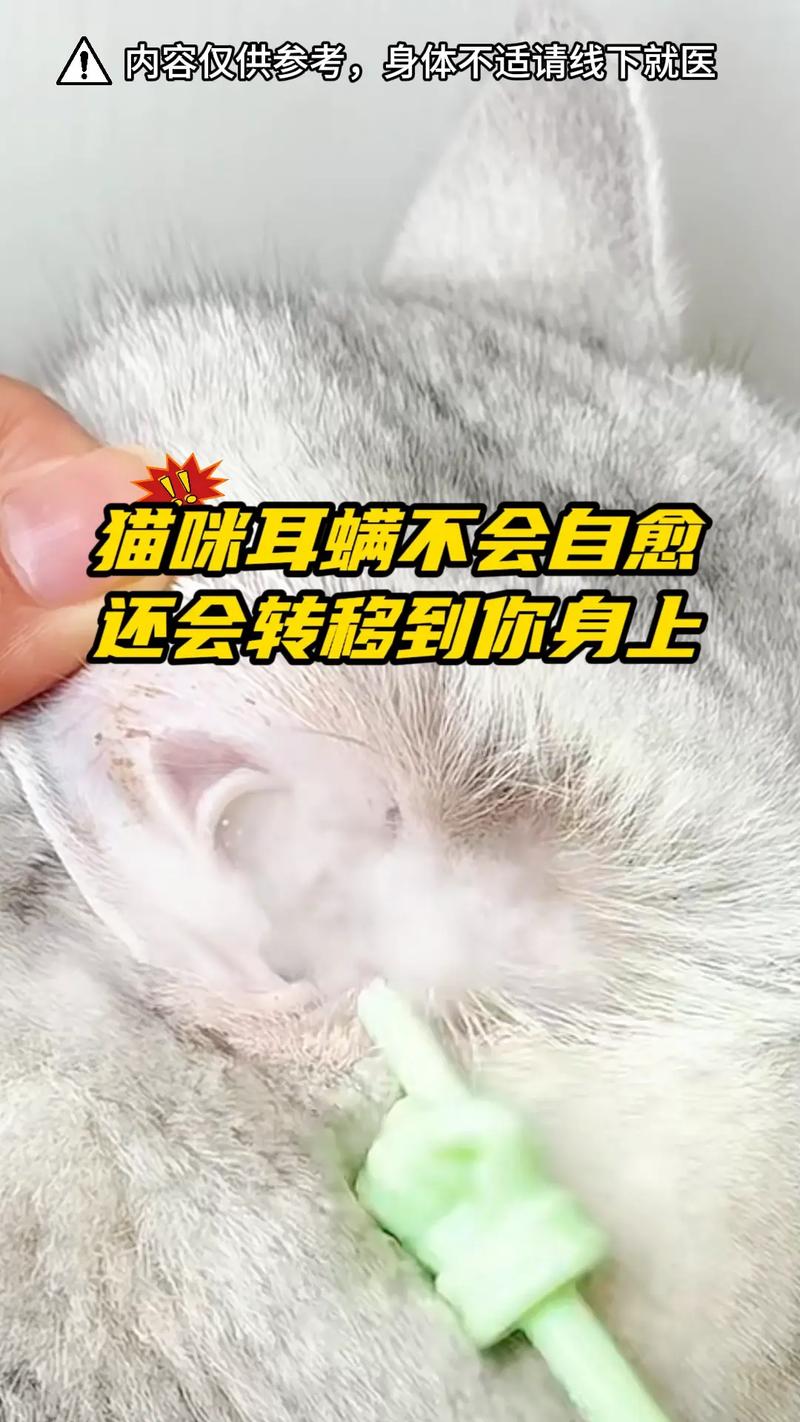 猫总是甩头挠耳朵是得了什么疾病