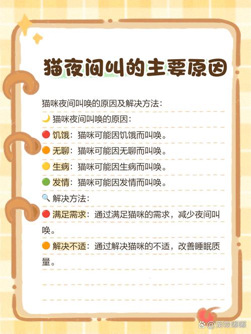 小猫刚到家晚上一直叫怎么办声音特别大,影响邻居