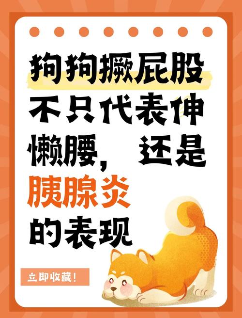 狗狗对你“翘屁股”的含义!