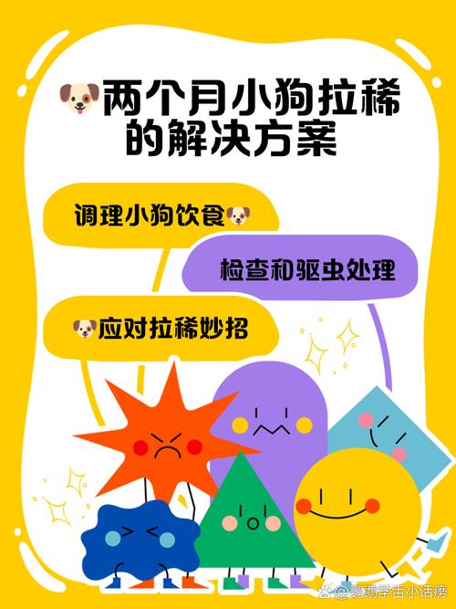 两月小狗拉肚子怎么办:两个月泰迪拉稀黄色怎么办?