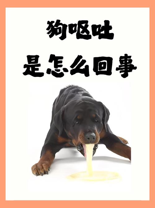 昨天我家狗狗吃了两粒白果,从昨晚开始就一直在呕吐,但吐不出东西,却...