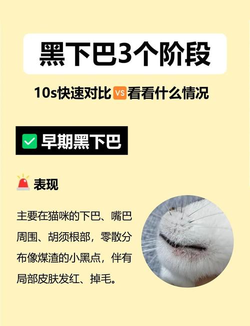 猫咪的黑下巴会自愈吗