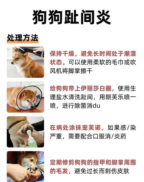 狗狗脚趾炎用碘伏好使吗