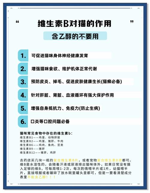 维生素B对猫咪有哪些作用?