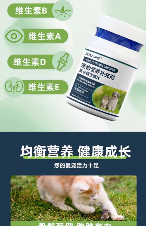 猫补什么维生素b