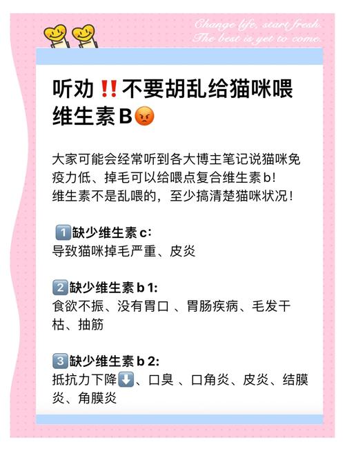 猫咪吃B族维生素的作用?