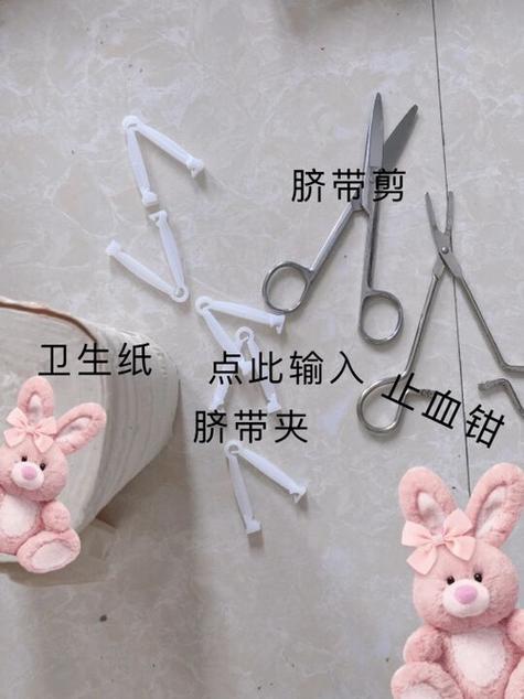 猫咪生小猫脐带怎么剪