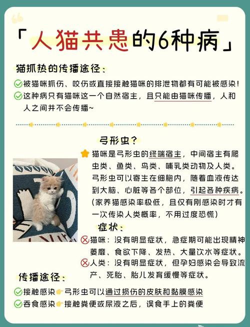 关于“狂犬病”的事,你需知道!