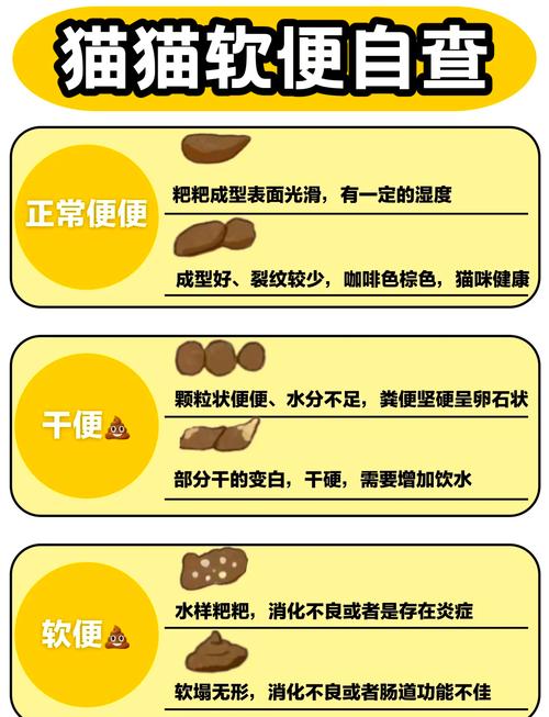 幼猫拉稀像泥浆很臭但精神很好