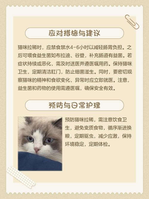 猫咪拉稀像泥浆很臭不吃东西怎么回事