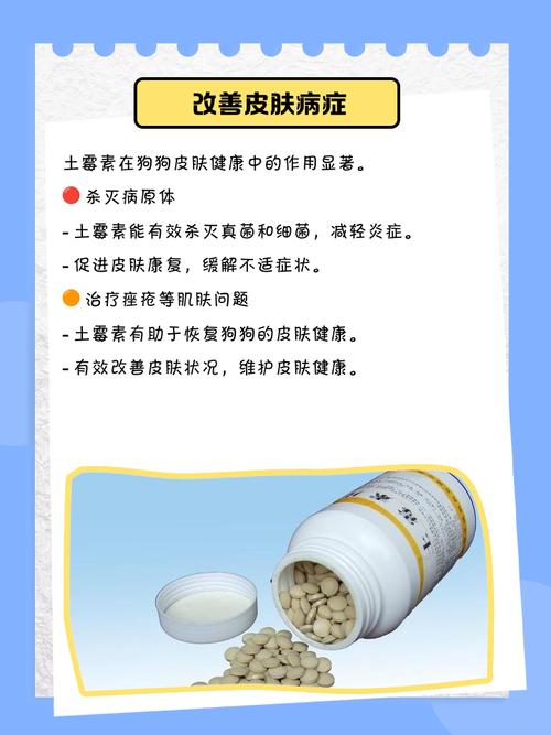 狗狗吃土霉素主要是治疗什么病