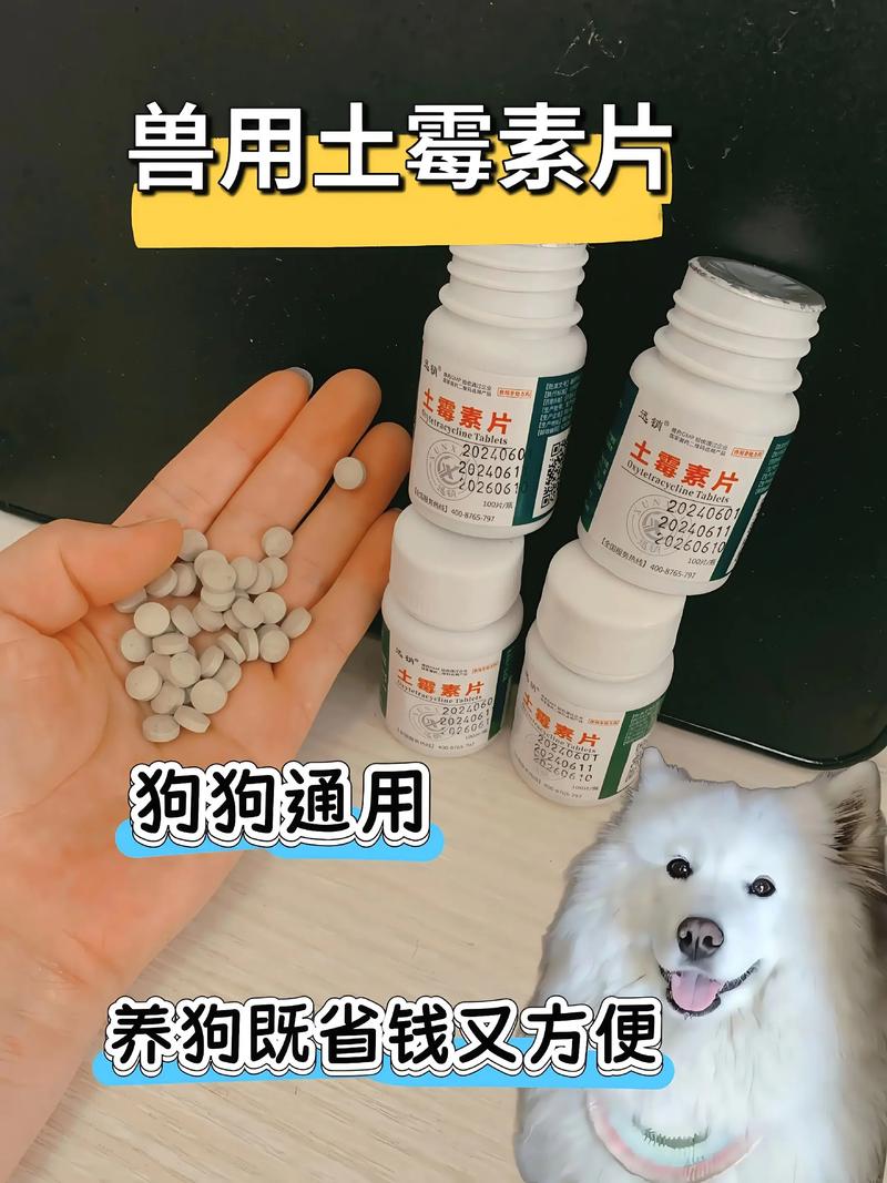 狗可以吃土霉素嘛?