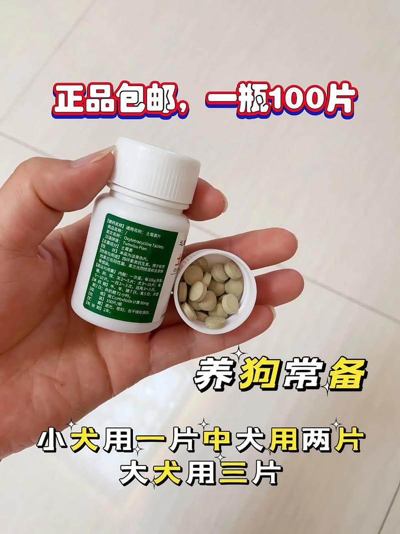 狗狗吃西咪替丁片还是土霉素