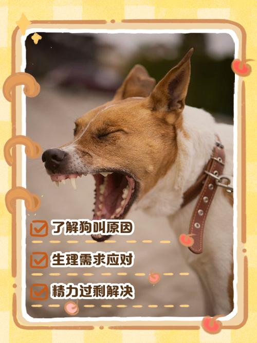 2个月不到的泰迪关在笼子里,看见人来了就叫?怎么能让它不叫啊