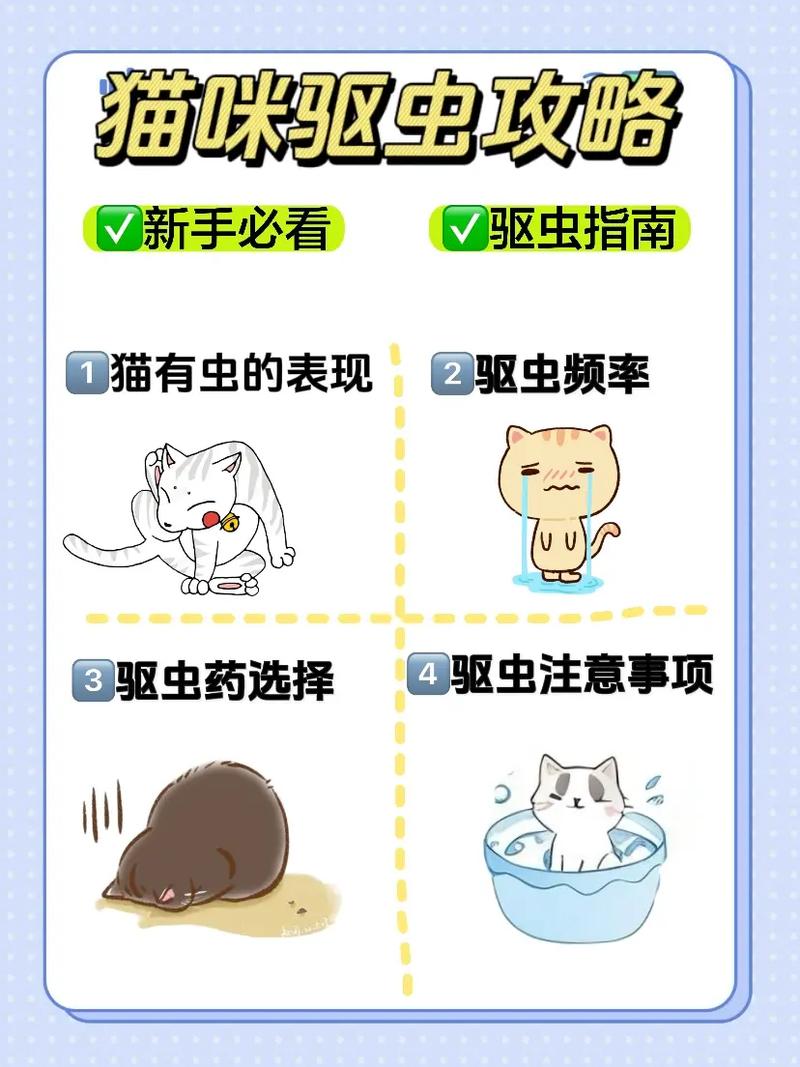 猫咪体内驱虫用什么药?