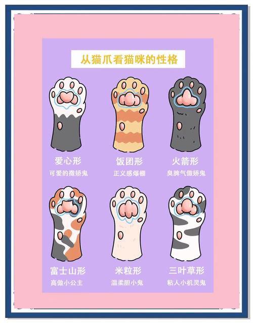 如何通过猫猫脚垫判断其性格?
