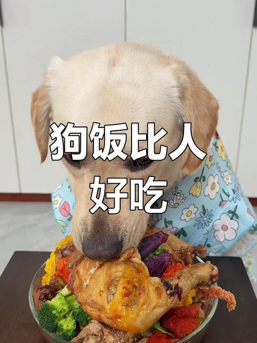 一个月的土狗可以喂饭吗?