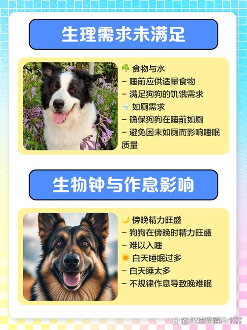 幼犬晚上不睡觉怎么办