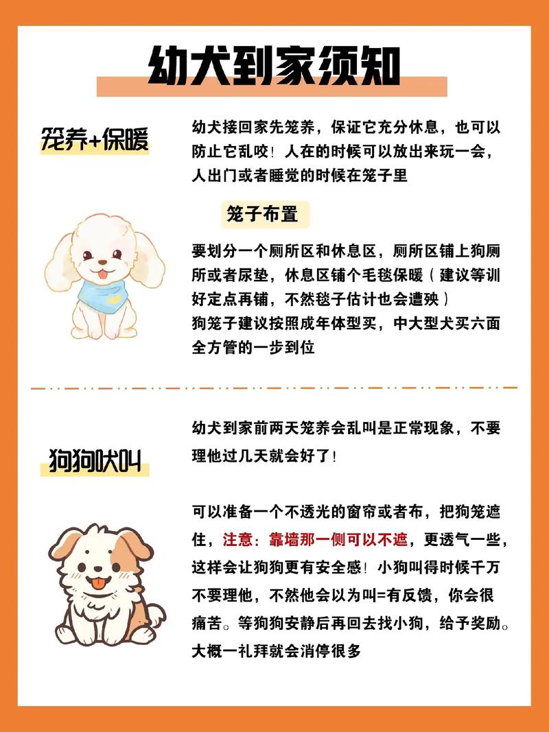 狗狗刚买回来怎么让他睡在窝里?