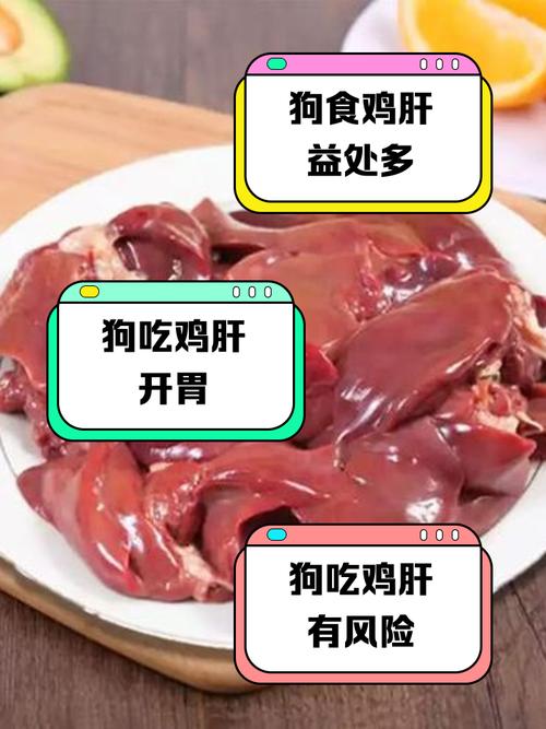 四个月的狗狗能吃鸡肝