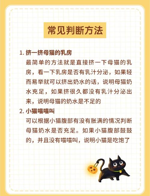 小猫没有奶怎么办拿什么来喂,小猫咪没有奶喝可以吃什么