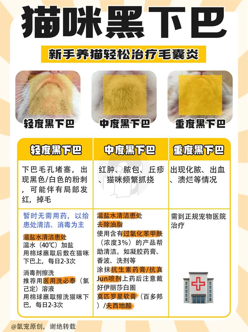 如何治疗猫咪黑下巴