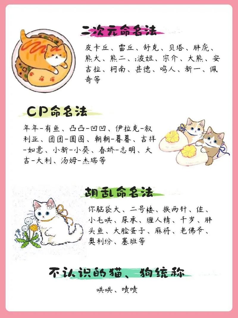 猫名怎么取比较旺主人