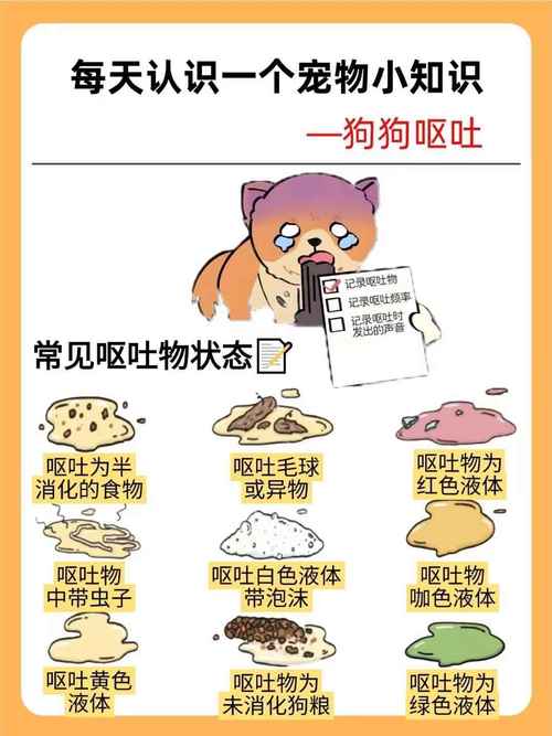 狗狗呕吐会自愈吗